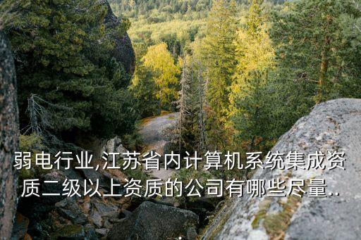 弱電行業(yè),江蘇省內(nèi)計算機系統(tǒng)集成資質二級以上資質的公司有哪些盡量...