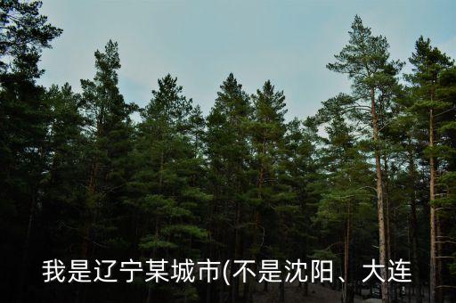 我是遼寧某城市(不是沈陽、大連