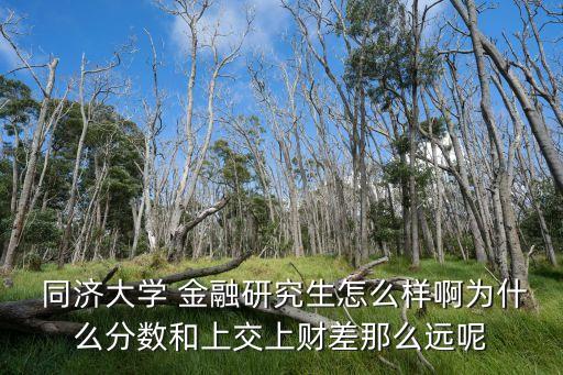  同濟(jì)大學(xué) 金融研究生怎么樣啊為什么分?jǐn)?shù)和上交上財差那么遠(yuǎn)呢
