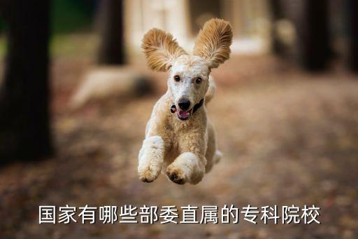 國(guó)家有哪些部委直屬的?？圃盒? class=