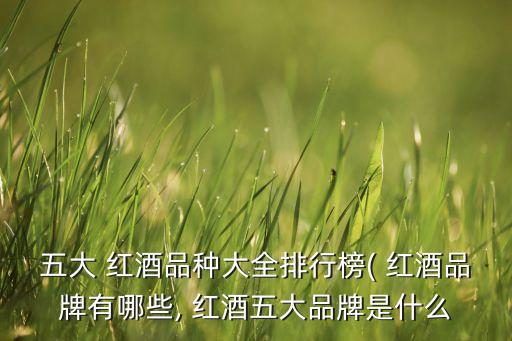 2015年中國(guó)紅酒進(jìn)口商排名榜
