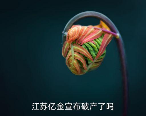 江陰漢邦石化有限公司,北京華晨漢邦石化工程技術有限公司