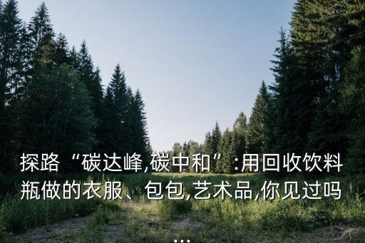 探路“碳達(dá)峰,碳中和”:用回收飲料瓶做的衣服、包包,藝術(shù)品,你見過嗎...