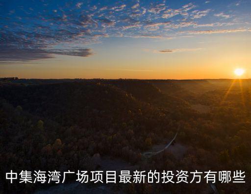 中集海灣廣場項(xiàng)目最新的投資方有哪些