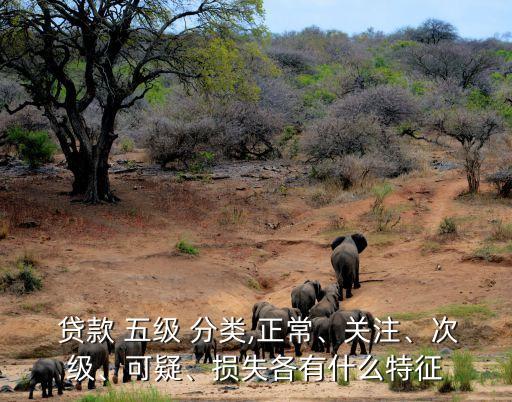  貸款 五級 分類,正常、關(guān)注、次級、可疑、損失各有什么特征