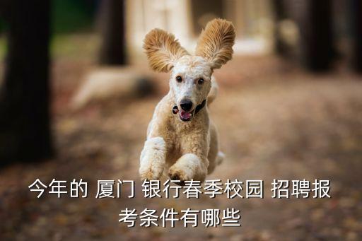 廈門(mén)地區(qū)銀行招聘,廈門(mén)銀行重慶分行招聘