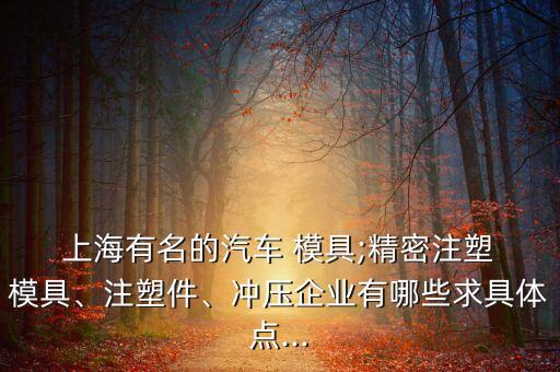  上海有名的汽車 模具;精密注塑 模具、注塑件、沖壓企業(yè)有哪些求具體點(diǎn)...