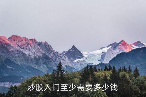 炒股入門(mén)至少需要多少錢