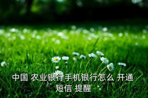 中國 農(nóng)業(yè)銀行手機銀行怎么 開通 短信 提醒
