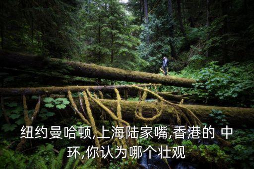 紐約曼哈頓,上海陸家嘴,香港的 中環(huán),你認(rèn)為哪個壯觀