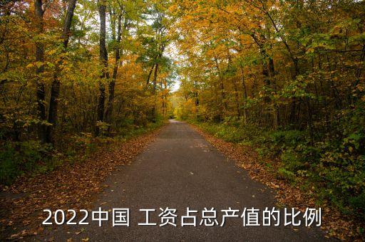 中國(guó)未來工資