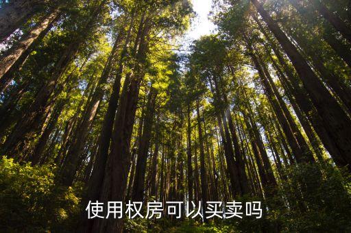 中國(guó)產(chǎn)權(quán)報(bào)價(jià)網(wǎng),為什么中國(guó)不能永久產(chǎn)權(quán)