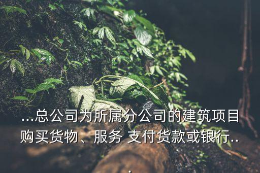 ...總公司為所屬分公司的建筑項(xiàng)目購(gòu)買貨物、服務(wù) 支付貨款或銀行...