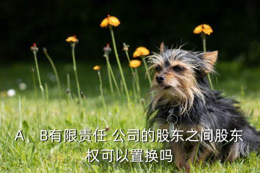 A、B有限責(zé)任 公司的股東之間股東權(quán)可以置換嗎