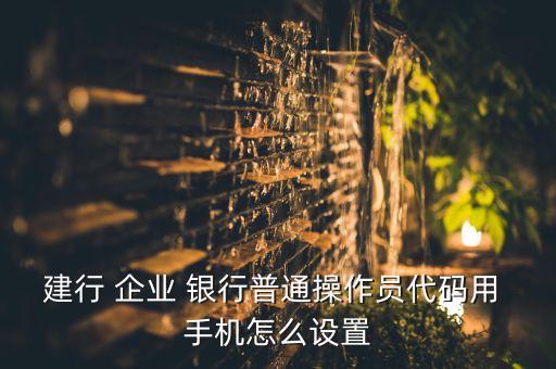 建行 企業(yè) 銀行普通操作員代碼用 手機怎么設置