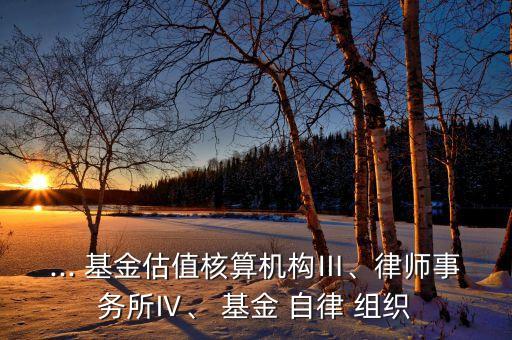 ... 基金估值核算機(jī)構(gòu)Ⅲ、律師事務(wù)所Ⅳ、 基金 自律 組織