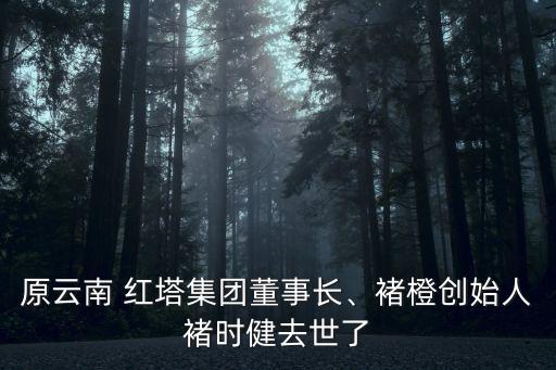 原云南 紅塔集團(tuán)董事長、褚橙創(chuàng)始人褚時健去世了