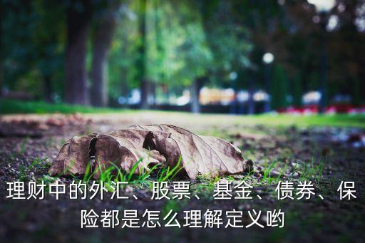 理財中的外匯、股票、基金、債券、保險都是怎么理解定義喲