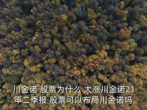 川金諾 股票為什么 大漲川金諾21年二季報(bào) 股票可以布局川金諾嗎