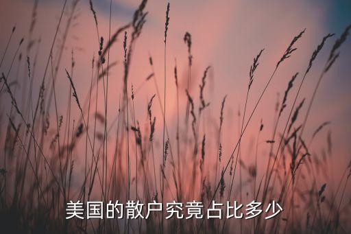 美國(guó)的散戶(hù)究竟占比多少