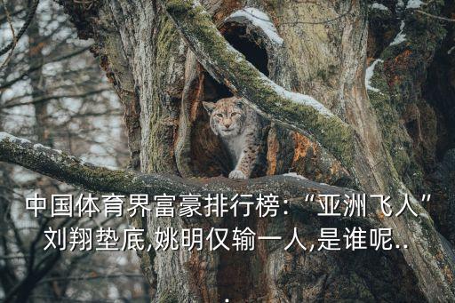 中國500強李寧,李寧風刃500怎么樣