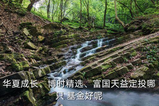 華夏成長(zhǎng)、博時(shí)精選、富國(guó)天益定投哪只 基金好呢