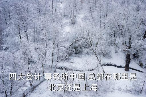 四大會計(jì)師事務(wù)所和證券公司總部,四大國際會計(jì)師事務(wù)所總部在中國哪個(gè)地方