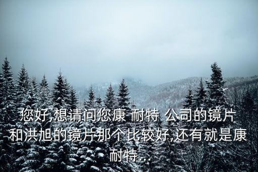 您好,想請(qǐng)問(wèn)您康 耐特 公司的鏡片和洪旭的鏡片那個(gè)比較好,還有就是康 耐特...