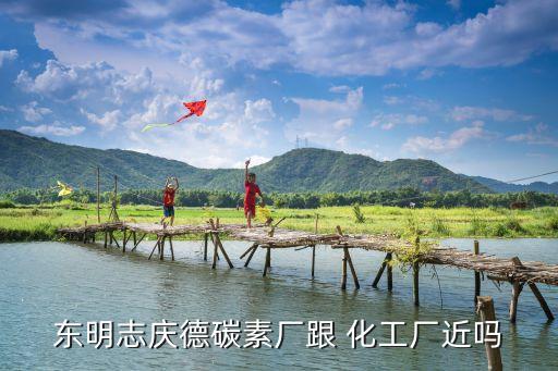 華魯恒升化工股份有限公司,山東德州華魯恒升化工股份有限公司