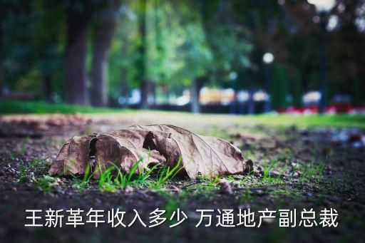 王新革年收入多少 萬(wàn)通地產(chǎn)副總裁