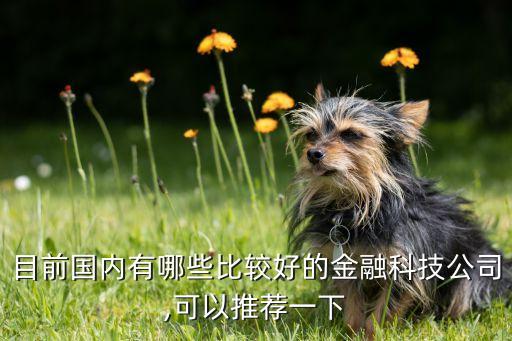 目前國內有哪些比較好的金融科技公司,可以推薦一下