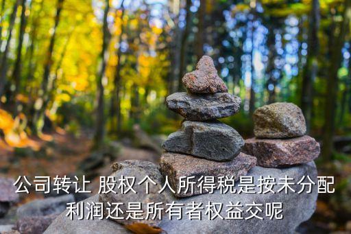 公司轉讓 股權個人所得稅是按未分配利潤還是所有者權益交呢