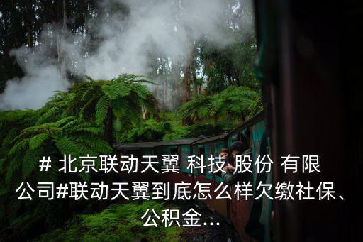# 北京聯(lián)動天翼 科技 股份 有限公司#聯(lián)動天翼到底怎么樣欠繳社保、公積金...