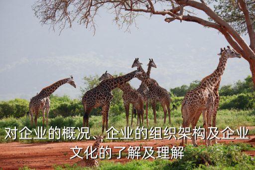 對(duì)企業(yè)的概況、企業(yè)的組織架構(gòu)及企業(yè)文化的了解及理解