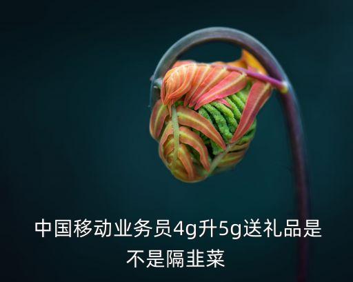  中國移動(dòng)業(yè)務(wù)員4g升5g送禮品是不是隔韭菜