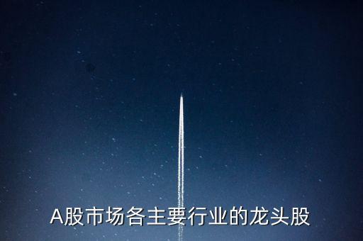 A股市場(chǎng)各主要行業(yè)的龍頭股