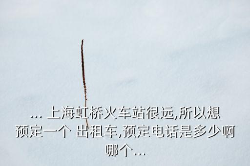 ... 上海虹橋火車站很遠(yuǎn),所以想預(yù)定一個 出租車,預(yù)定電話是多少啊哪個...