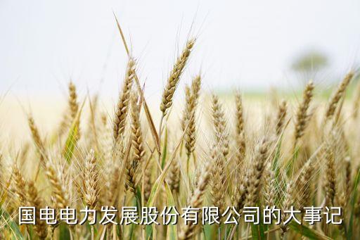 迪博 中國上市公司內部控制指數(shù)2012,迪博內部控制信息披露指數(shù)