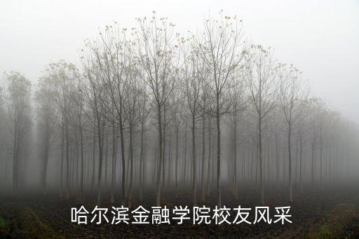  哈爾濱金融學院校友風采