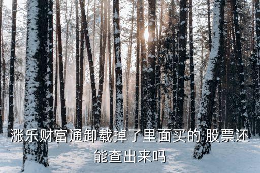 漲樂(lè)財(cái)富通卸載掉了里面買(mǎi)的 股票還能查出來(lái)嗎