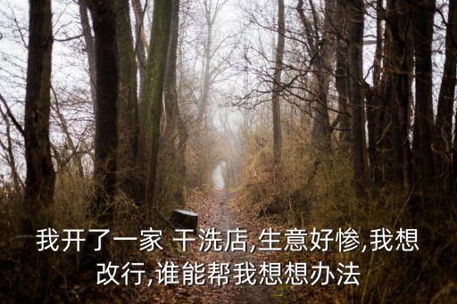 我開了一家 干洗店,生意好慘,我想改行,誰(shuí)能幫我想想辦法