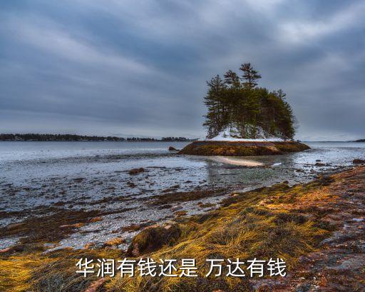 華潤(rùn)有錢還是 萬(wàn)達(dá)有錢