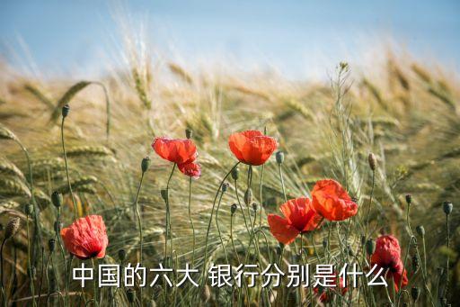 中國(guó)境內(nèi)的銀行