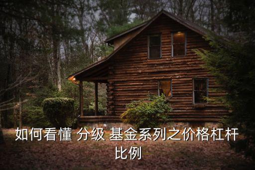 如何看懂 分級(jí) 基金系列之價(jià)格杠桿比例