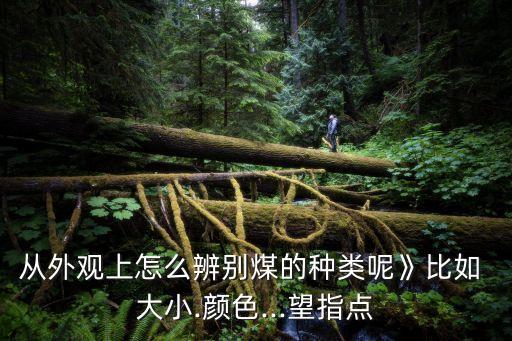 中國(guó)煤礦大小分類(lèi),中國(guó)各城市大小分類(lèi)