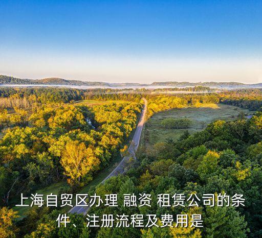 轉讓50000萬美元融資租賃公司