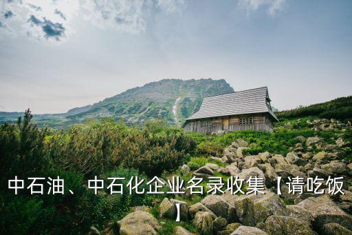 中石油、中石化企業(yè)名錄收集【請吃飯】
