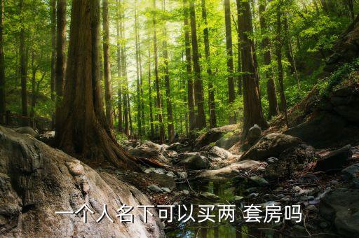 一個(gè)人名下可以買(mǎi)兩 套房嗎