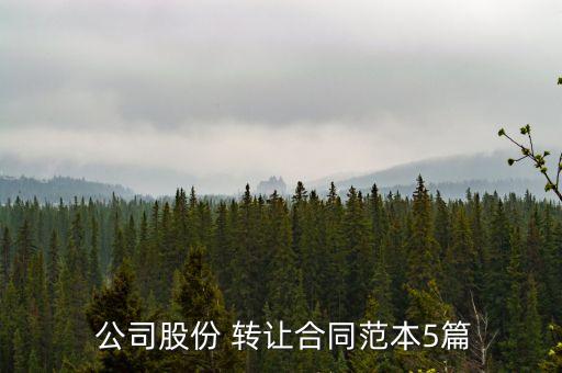 公司財(cái)產(chǎn)轉(zhuǎn)讓協(xié)議書,個人獨(dú)資企業(yè)財(cái)產(chǎn)轉(zhuǎn)讓協(xié)議書