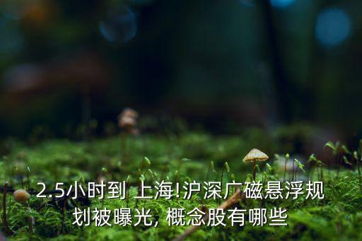 上?？萍紕?chuàng)新中心概念股,科技創(chuàng)新概念股有哪些